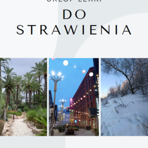 Okładka ebooka urlop lekki do strawienia. Okładka ma błękitne tło, 3 zdjęcia (palmy, lampki i drzewa).